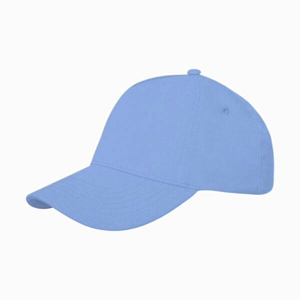 Doyle 5 panel_baby blue0